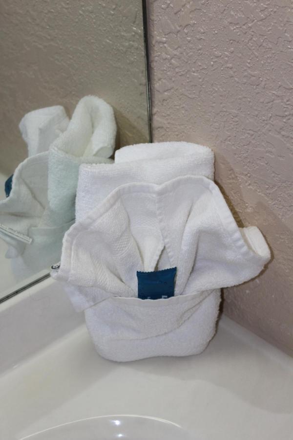 Apm Inn & Suites - Jacksonville Zewnętrze zdjęcie